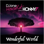 cover: Honny T - Wonderful World