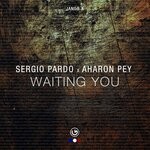 cover: Aharon Pey|Sergio Pardo - Waiting You (Original Mix)