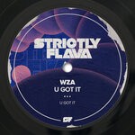 cover: Wza - U Got It