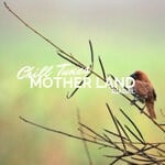 cover: Riadal - Mother Land (Original Mix)