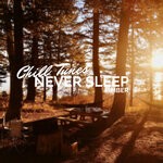 cover: Pimber - Never Sleep (Original Mix)