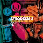 cover: Black Mighty Wax - Afrodesia 2