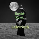 cover: David Kelix - Labyrinth