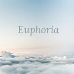 cover: Fruuk - Euphoria (Original Mix)