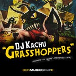 cover: Dj Kachu - Grasshoppers