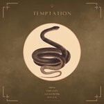 cover: Stevn - Temptation