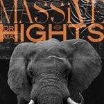 cover: Drama Hights - Massive