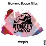 cover: Numeric Space|Qbas - Vagria