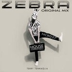 cover: Terry Tennaglia - Zebra (Original Mix)