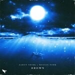 cover: Aaron Shirk|Meggie York - Drown