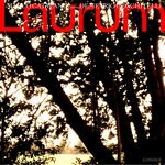 cover: Demetrio Cecchitelli - Laurum