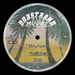 cover: Brizion - Kusihlwa