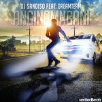 cover: DJ Sandiso|Dreamteam - Anginamngani (Explicit)