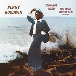 cover: Penny Goodwin - Slow Hot Wind