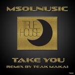 cover: Msolnusic - Take You