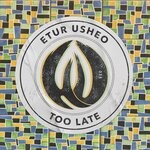 cover: Etur Usheo - Too Late