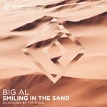 cover: Big Al - Smiling In The Sand