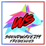 cover: Soundwave214 - Frequencies EP