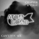 cover: Chapter & Verse - Can't You See