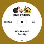 cover: Nolephant - Back Up