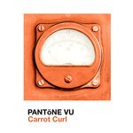 cover: Pantone Vu - Carrot Curl