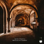 cover: Davor Tosovic - Meditation Chamber