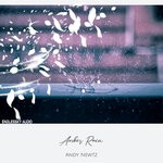 cover: Andy Newtz - Amber Rain