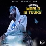 cover: Wirebrain - World Is Yours