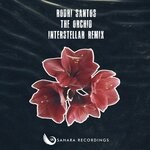 cover: Rodri Santos - The Orchid (Interstellar Remix)