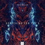 cover: Enzo Muller - Searching For Fly's