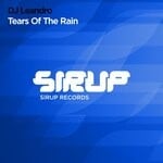 cover: Dj Leandro - Tears Of The Rain