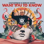 cover: Cactushead|Dorian Wood - Want You To Know (Remixes 1)