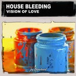 cover: House Bleeding - Vision Of Love (Nu Ground Foundation Mixes)