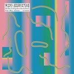 cover: Kid Simius - We Like To Party (Local Suicide Remix)