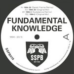 cover: Fundamental Knowledge - 1994-20/3