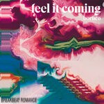 cover: Borneo - Feel It Coming