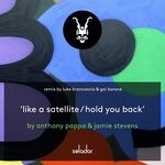 cover: Anthony Pappa|Jamie Stevens - Like A Satellite