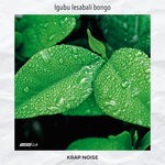 cover: Krap Noise - Igubu Lesabali Bongo