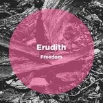 cover: Erudith - Freedom