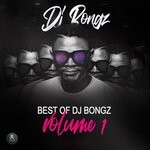 cover: Dj Bongz - Best Of DJ Bongz Vol 1