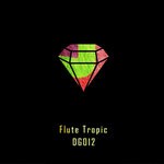 cover: Cj Valero - Flute Tropic (Original Mix)