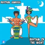 cover: Rhythm Junkies - Rhythm Of The Night