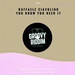 cover: Raffaele Ciavolino - You Know You Need It