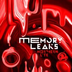 cover: Northern Lite - Memory Leaks