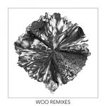 cover: Monkey Safari - Woo EP (Remixes)