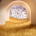 cover: Roman Messer - Back To The Future