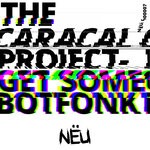 cover: The Caracal Project - Go Get Some/Botfonk