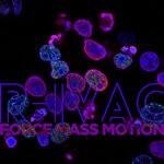 cover: Force Mass Motion - R-iVAC