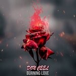 cover: Don Ceel - Burning Love