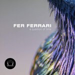 cover: Fer Ferrari - A Question Of Time